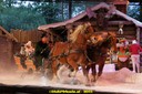 DSC09169.JPG