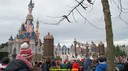 DSC09527.jpg