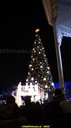 DSC09638.jpg