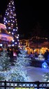 DSC09651.jpg