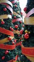DSC02873.JPG