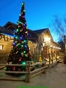20181227_075632.jpg