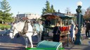 dsc03776.jpg