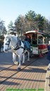 dsc03785.jpg