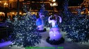dsc03965.jpg