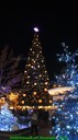 dsc03972.jpg