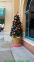 dsc03987.jpg