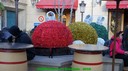 dsc04153.jpg