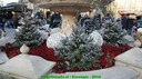 dsc04160.jpg