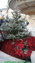 dsc04162.jpg