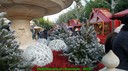 dsc04165.jpg