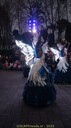 DSC05954.jpg