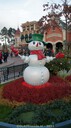 DSC05912.jpg