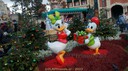 DSC05917.jpg
