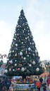 DSC05921.jpg