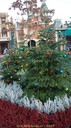 DSC05923.jpg