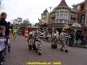 DSC03371.jpg