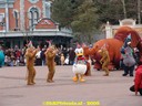DSC03397.jpg