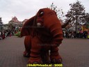 DSC03398.jpg