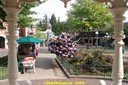 DSC06769.jpg