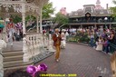 DSC06687.jpg