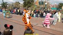 DSC07716.jpg