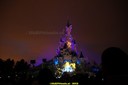 DSC00425.jpg