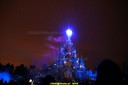 DSC00428.jpg