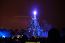 DSC00429.jpg