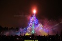 DSC00433.jpg