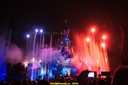 DSC00478.jpg