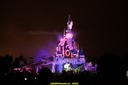 DSC00488.jpg