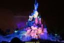 DSC00506.jpg