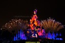 DSC00555.jpg
