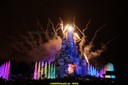 DSC00591.jpg