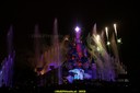 DSC00597.jpg