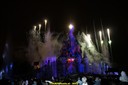 DSC00598.jpg