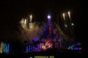 DSC00600.jpg
