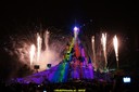 DSC00622.jpg