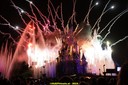 DSC00658.jpg