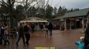 DSC09533.jpg