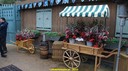DSC09536.jpg