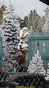 DSC09538.jpg