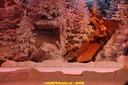 DSC07200.jpg