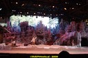 DSC07214.jpg