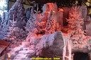 DSC07220.jpg