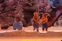 DSC07223.jpg