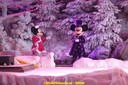 DSC07237.jpg