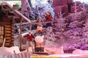 DSC07242.jpg