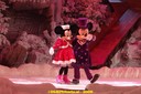 DSC07243.jpg